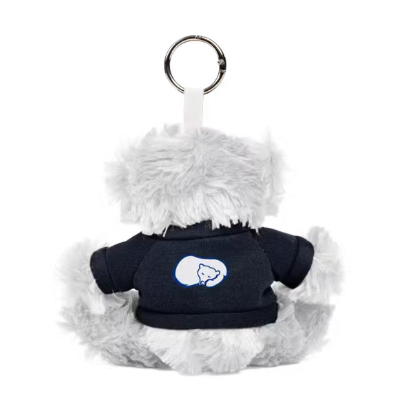 Paws 5" Teddy Bear with Keyring Product Image