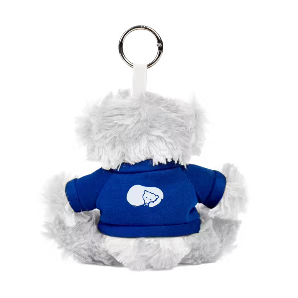 Paws 5" Teddy Bear with Keyring Product Image