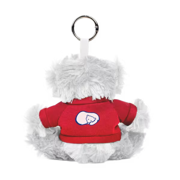 Paws 5" Teddy Bear with Keyring Product Image