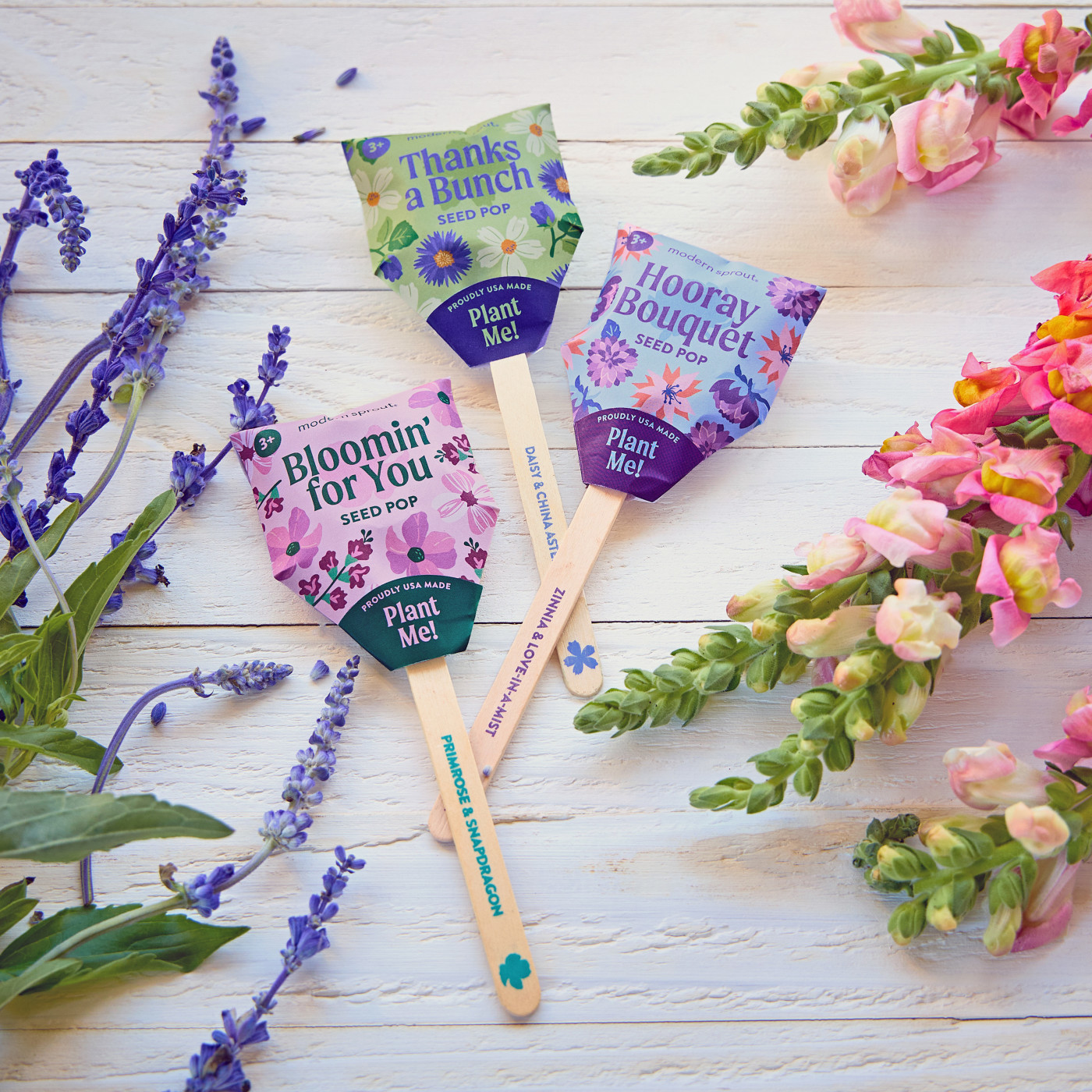 Modern Sprout® Flower Seed Pop Product Image