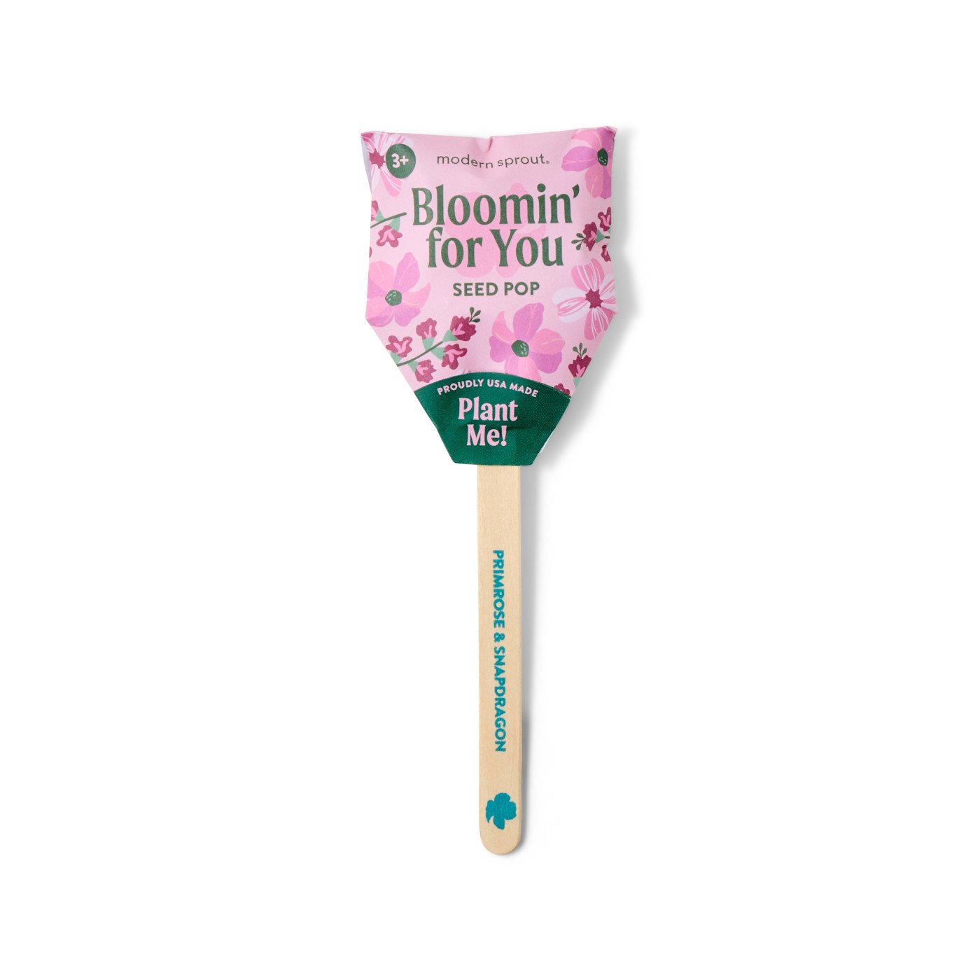 Modern Sprout® Flower Seed Pop Product Image