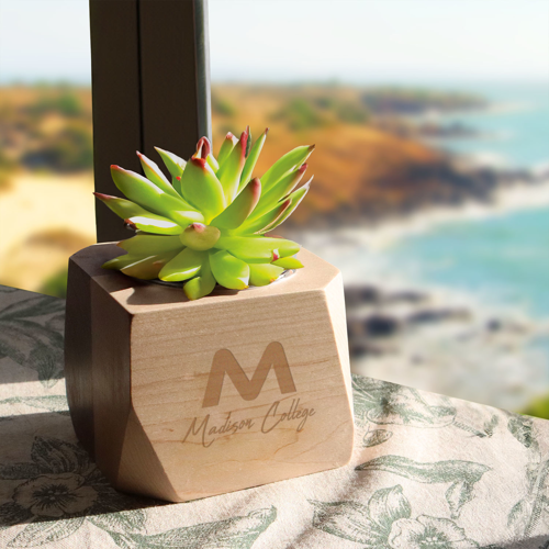 Geometric Wooden Planter with Succulent Product Image