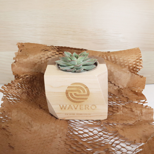 Geometric Wooden Planter with Succulent Product Image