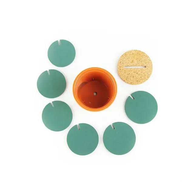 Green cactus-shaped EVA coaster with non-slip surface and heat-insulating construction designed to protect tables from scratches, moisture, and heat.
