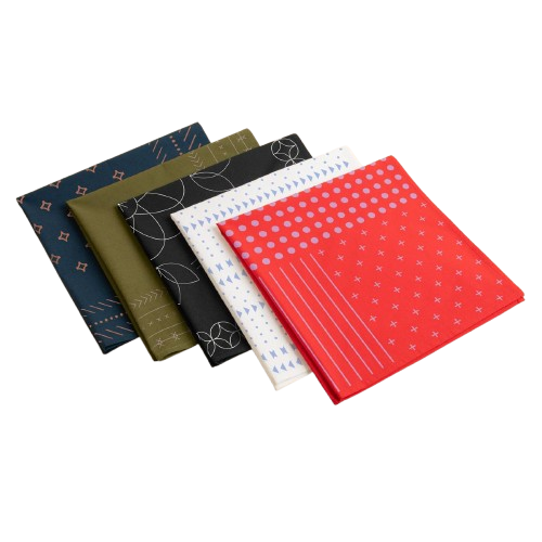 Work + Shelter Organic Cotton Bandana Product Image