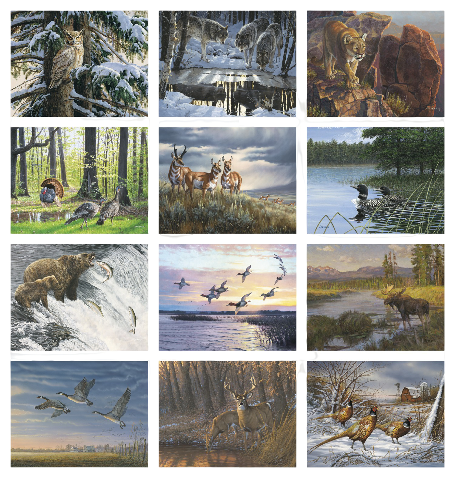 Wildlife Collection Stapled Calendar featuring full-color wildlife photography, glossy paper pages with a stapled binding, monthly calendar grids, and a nature-themed wall calendar design for home, office, and scheduling.