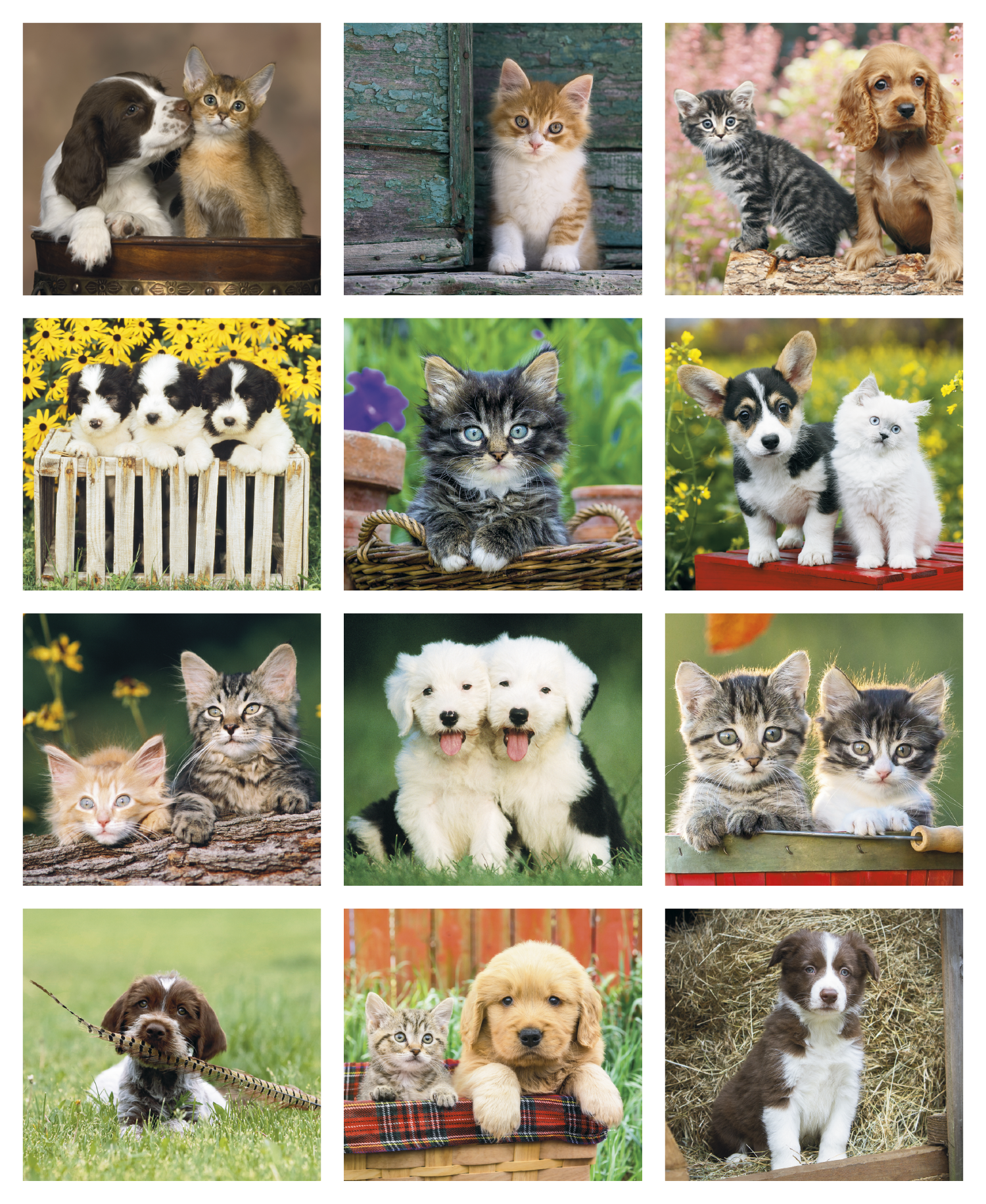 Puppies & Kittens Mini Stapled Calendar featuring photographs of adorable puppies and kittens, glossy paper pages with a stapled binding, monthly calendar grids, and a compact wall calendar design for home, office, and scheduling.