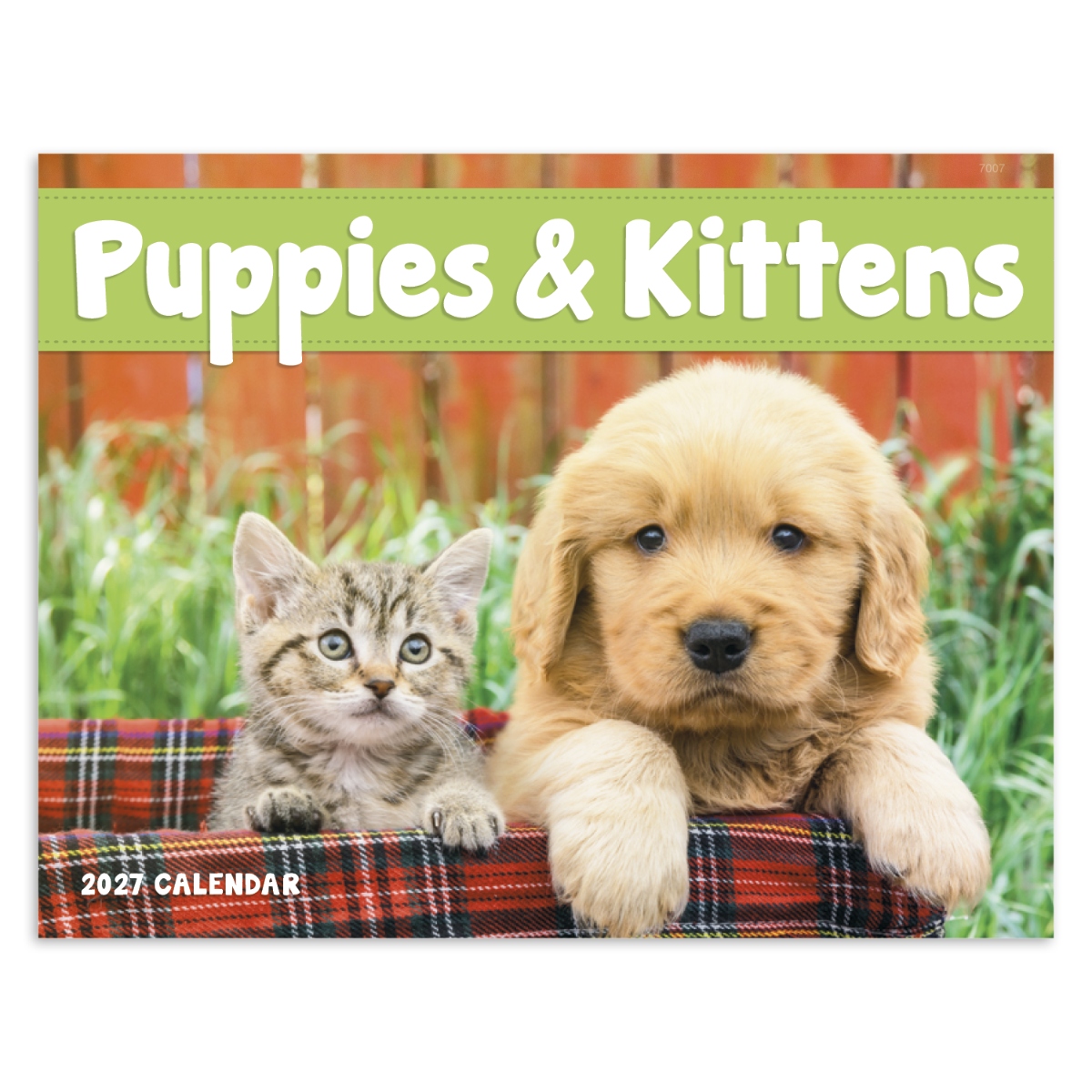 Puppy and kitten wall calendar featuring adorable animal photography.