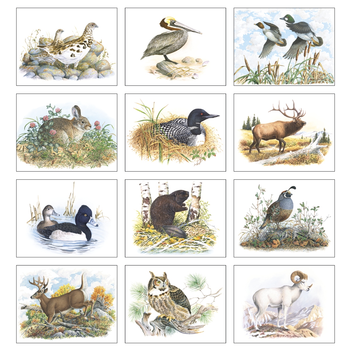 Wall calendar featuring detailed wildlife paintings and nature scenes.