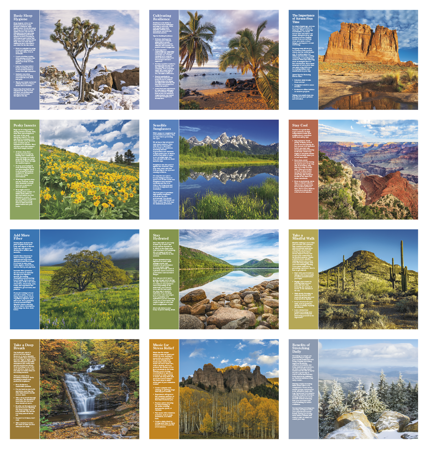 Healthy Living Spiral Calendar featuring scenic landscape photography and monthly wellness tips, glossy spiral-bound pages with monthly calendar grids, designed as a wall calendar for home, office, and scheduling.