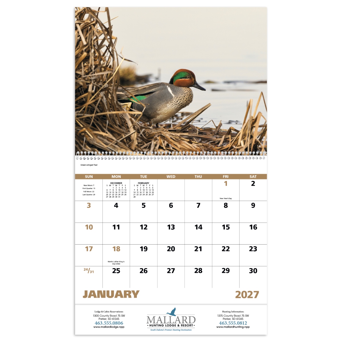 Wall calendar featuring North American waterfowl and scenic wildlife photography.