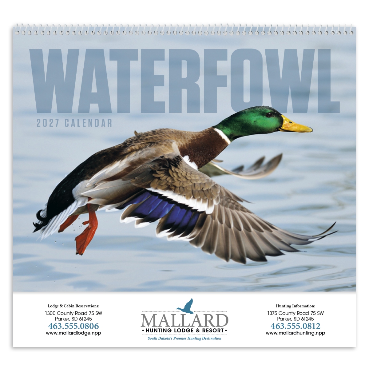Wall calendar featuring North American waterfowl and scenic wildlife photography.