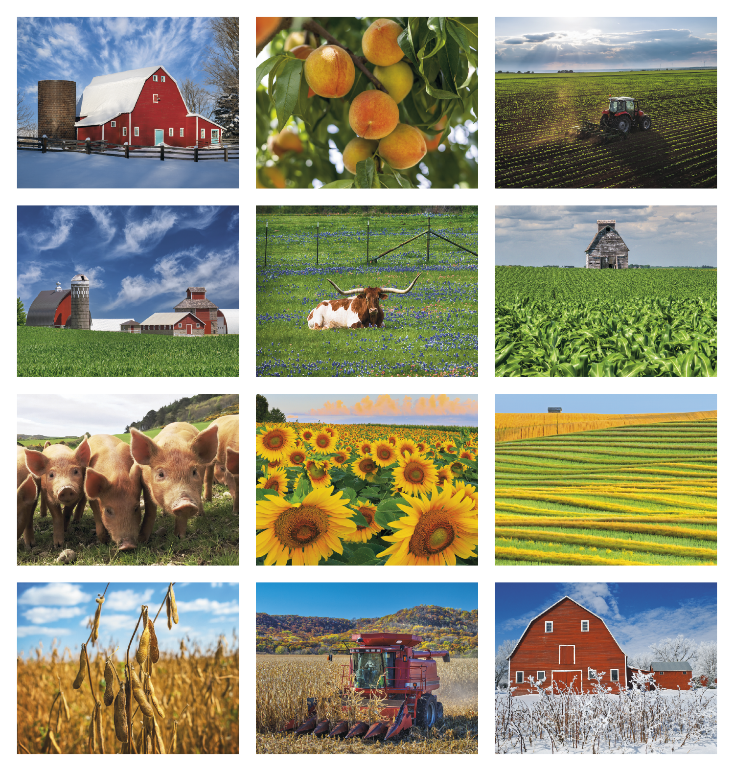 Agriculture Spiral Calendar featuring photography of farming landscapes, crops, tractors, and rural scenes, glossy spiral-bound pages with monthly calendar grids, and a wall calendar design for farms, offices, and year-round scheduling.