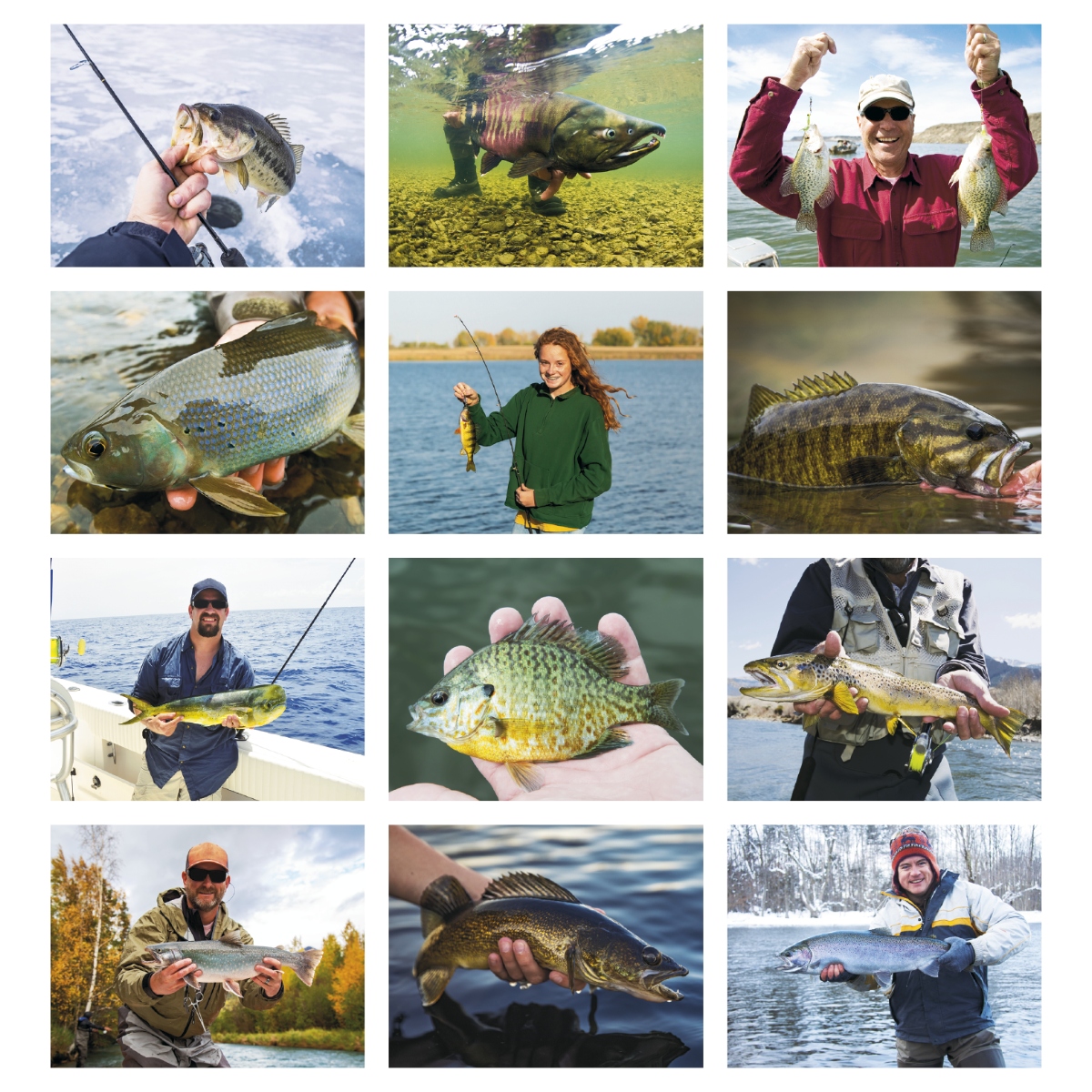 Fishing-themed wall calendar featuring scenic angling photography, fishing forecasts, and daily activity information for outdoor enthusiasts.