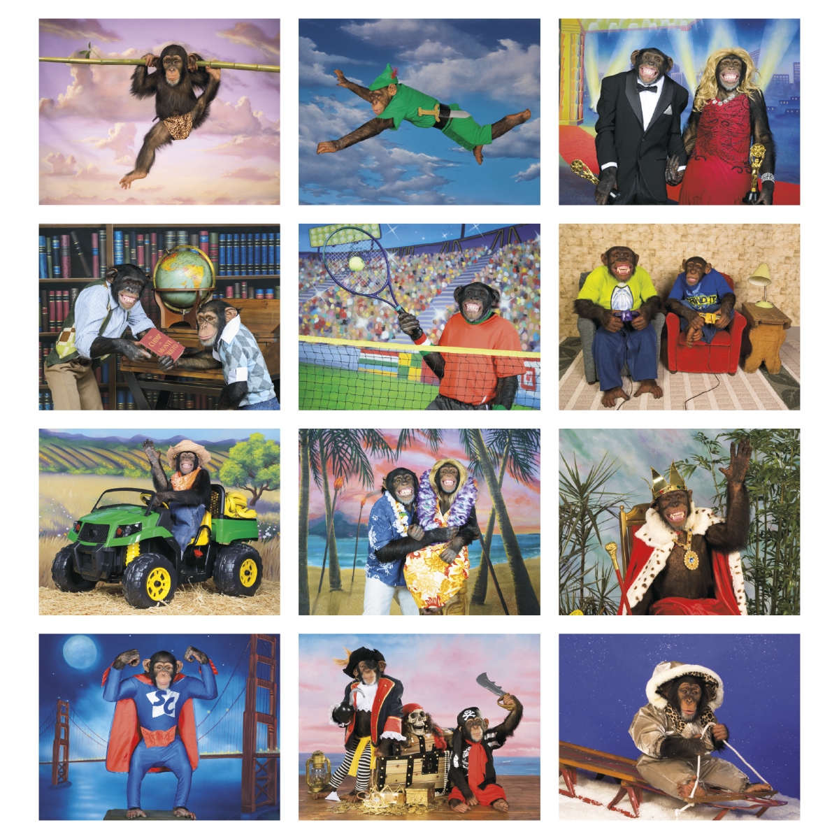 Funny monkey wall calendar featuring playful animal photography and humorous images throughout the year.