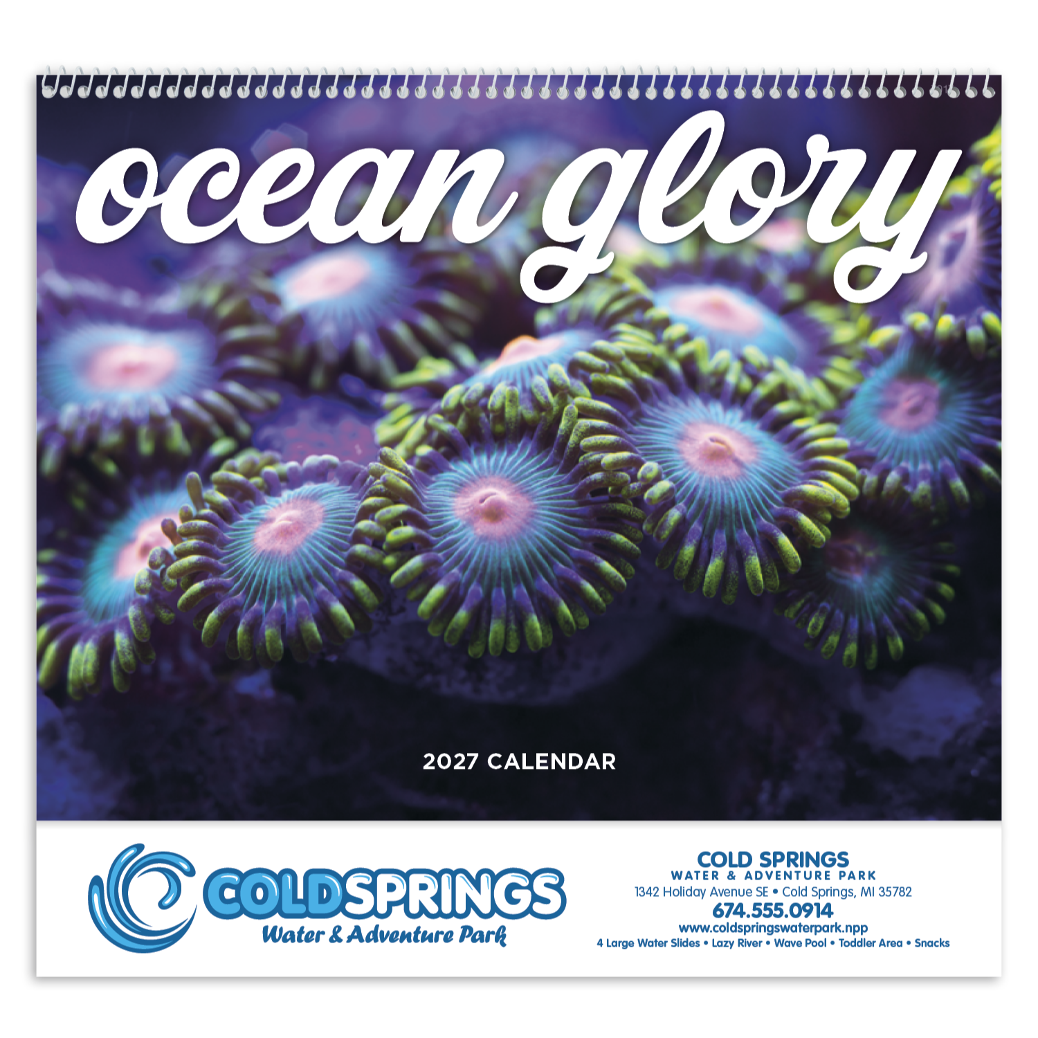 2027 spiral wall calendar featuring colorful sea life photography, including tropical fish, sea turtles, coral reefs, dolphins, and other marine animals with a glossy UV-coated cover.