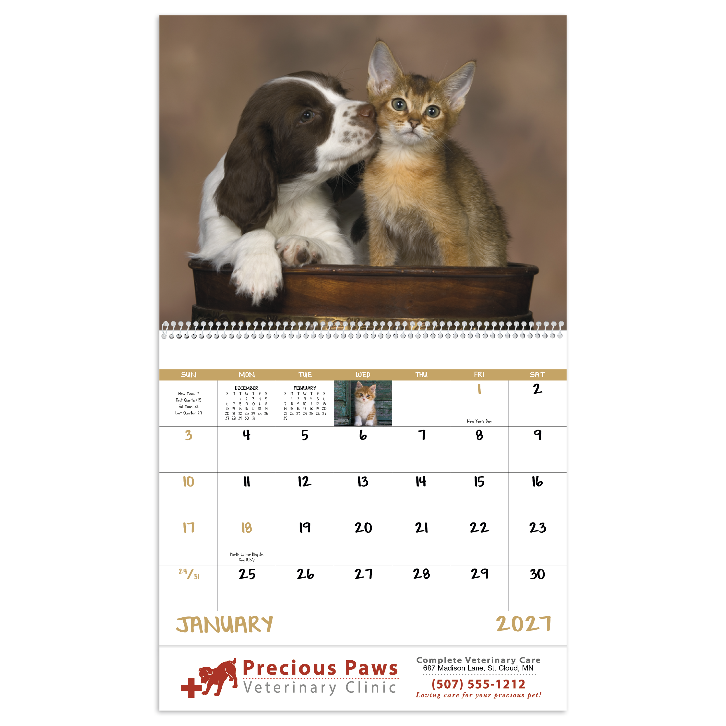 2027 spiral wall calendar featuring adorable puppies and kittens with colorful pet photography, monthly calendar pages, and a glossy UV-coated cover.