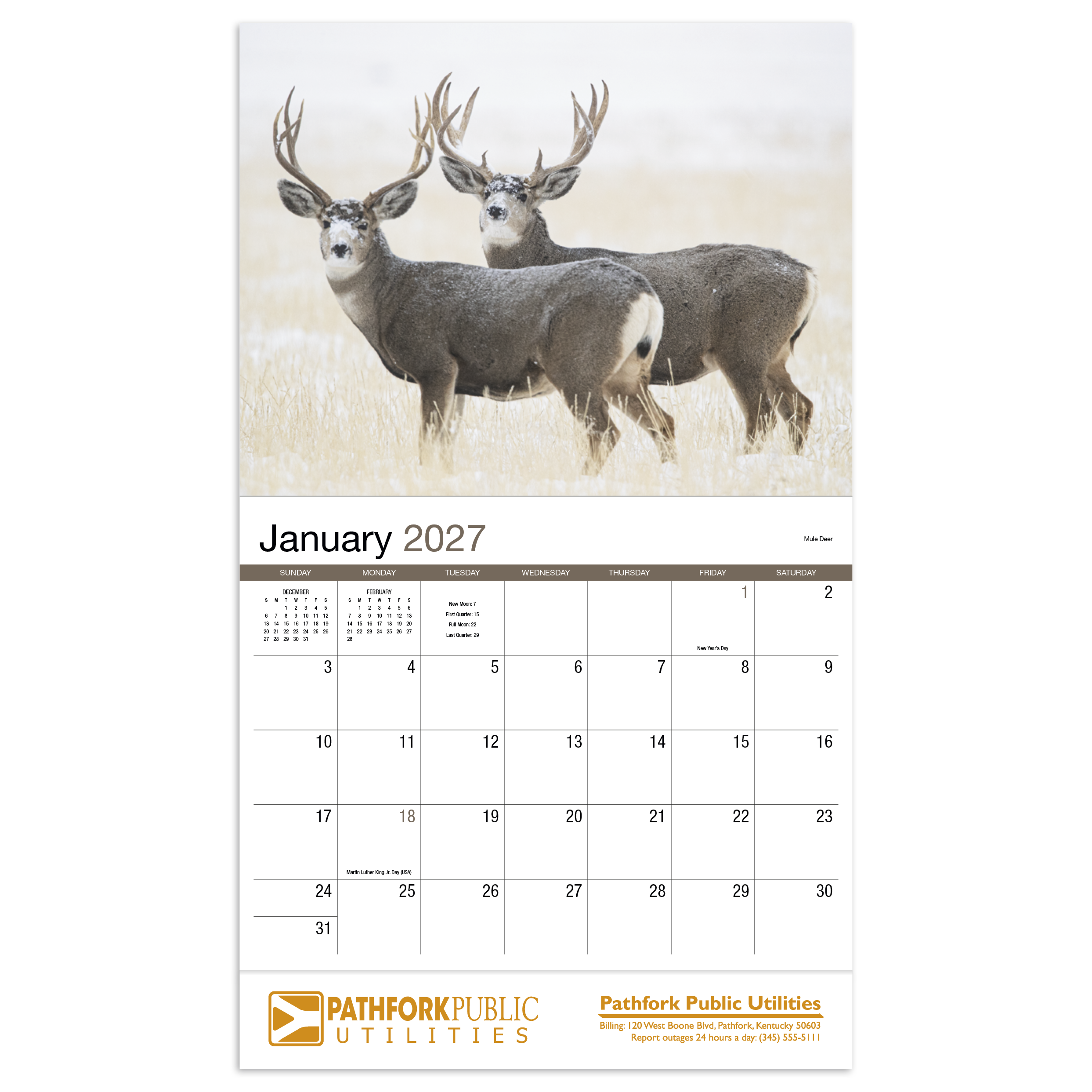 Stapled wildlife appointment calendar featuring close-up photographs of North American wild animals with a glossy UV-coated cover printed on FSC® and SFI® certified paper.