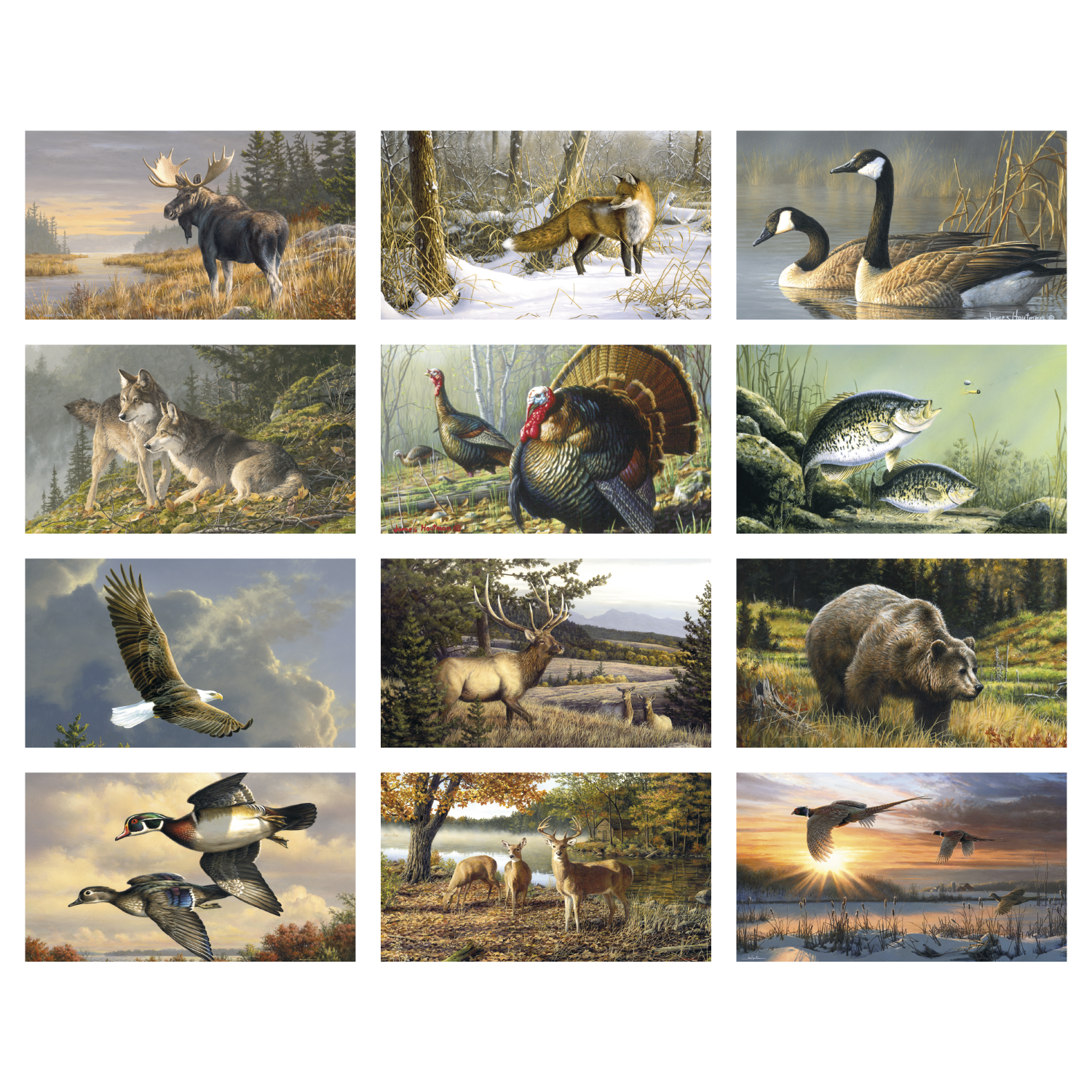 2027 wildlife wall calendar featuring detailed Hautman Brothers bird artwork printed on FSC®-certified matte paper with monthly calendar pages.
