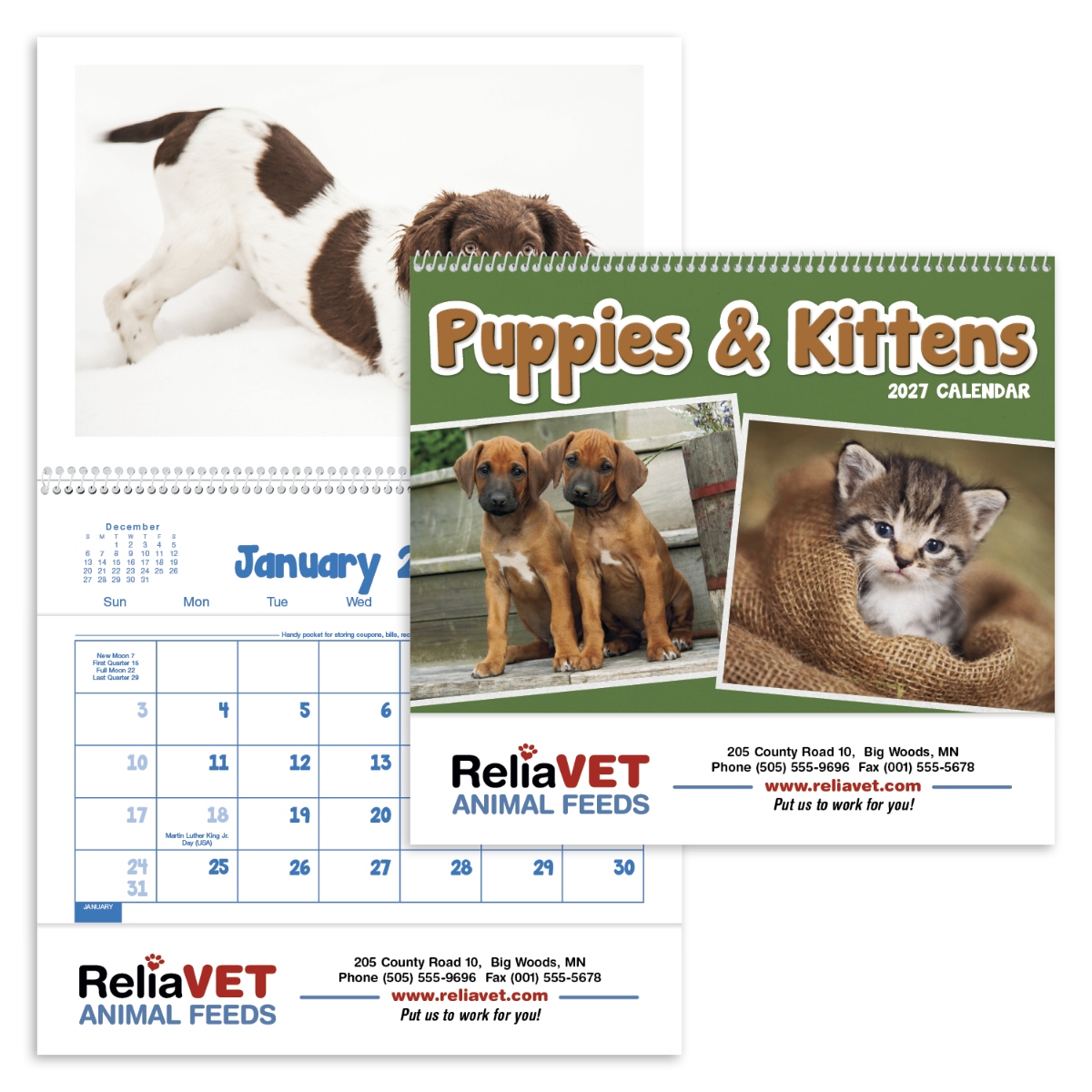Pet-themed calendar featuring adorable puppies and kittens, with monthly storage pockets and a pet health and immunization record.