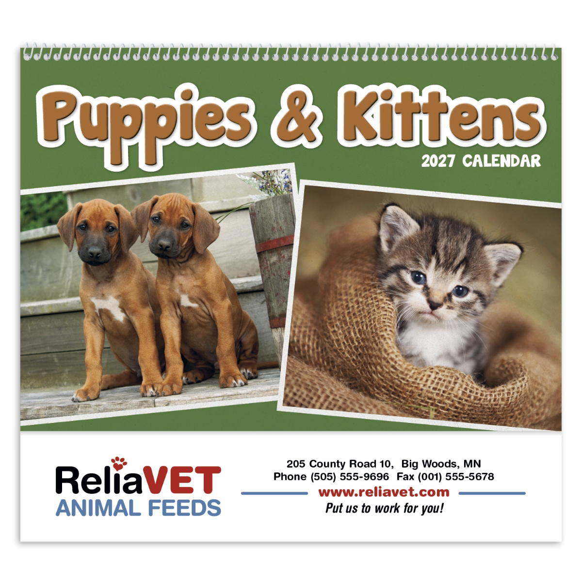 Pet-themed calendar featuring adorable puppies and kittens, with monthly storage pockets and a pet health and immunization record.