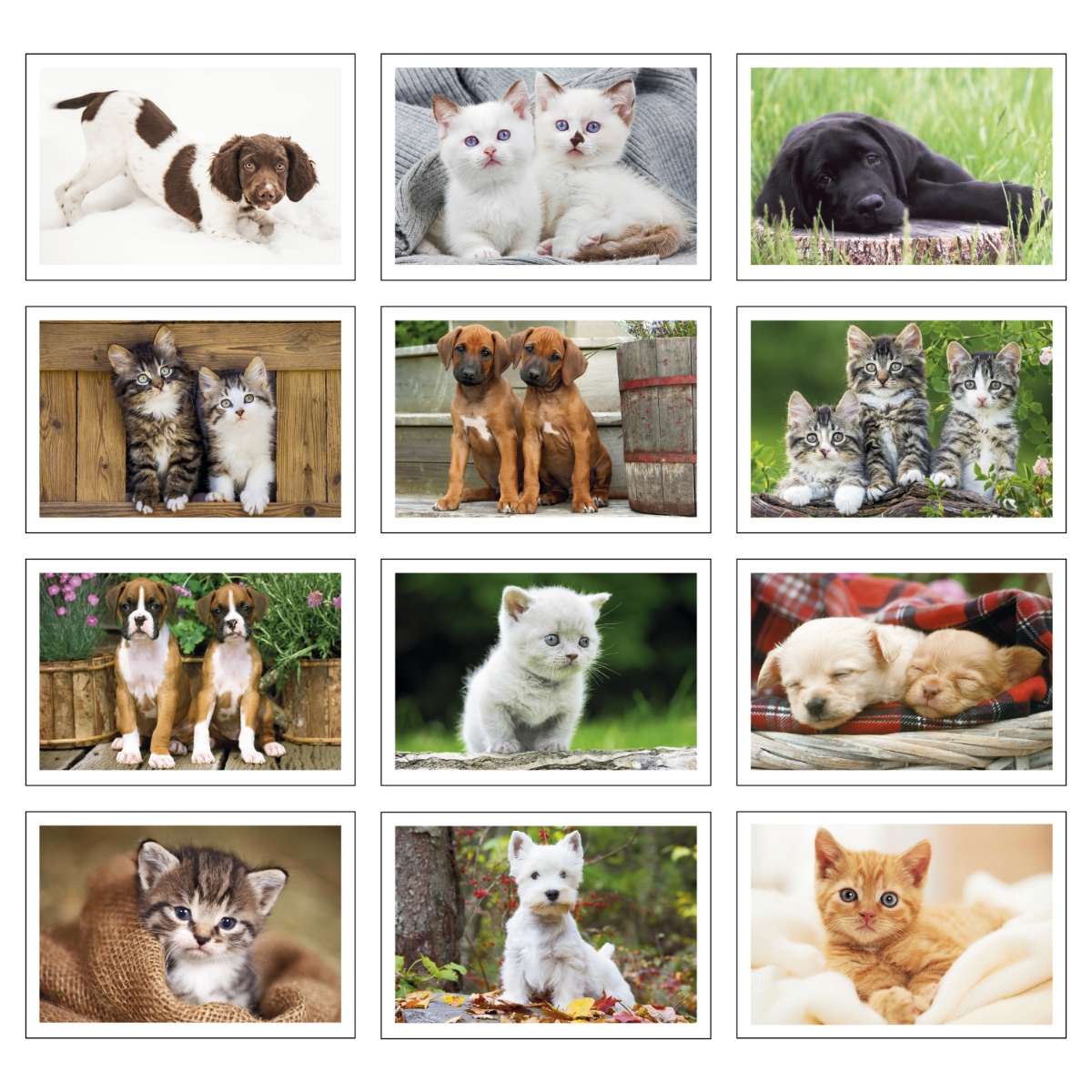 Pet-themed calendar featuring adorable puppies and kittens, with monthly storage pockets and a pet health and immunization record.