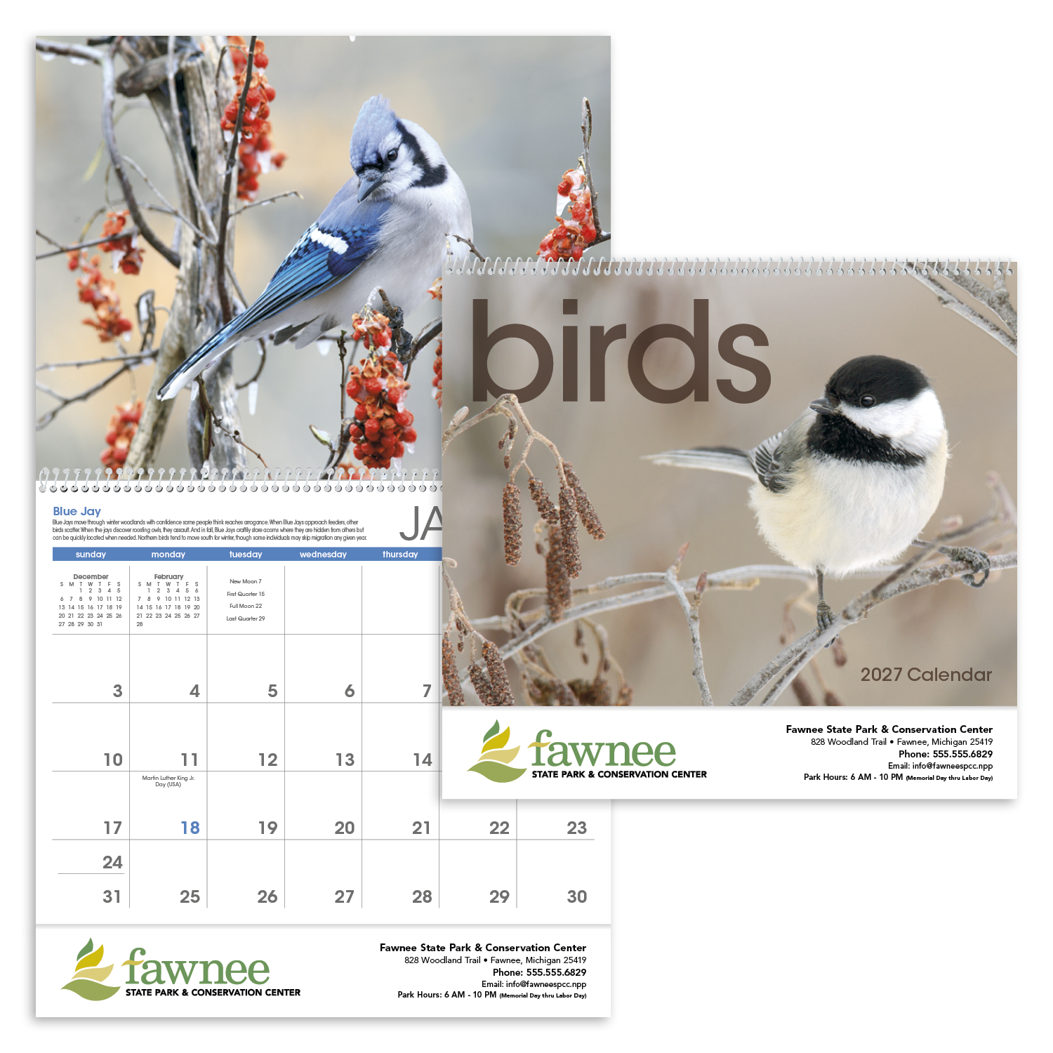 Birds Calendar featuring close-up photos of colorful North American birds with brief bird information.