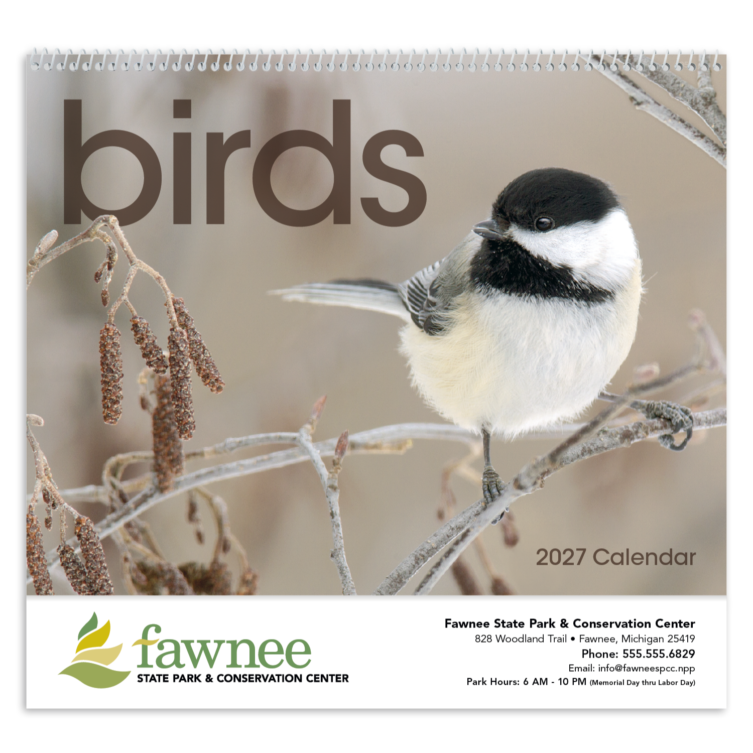 Birds Calendar featuring close-up photos of colorful North American birds with brief bird information.