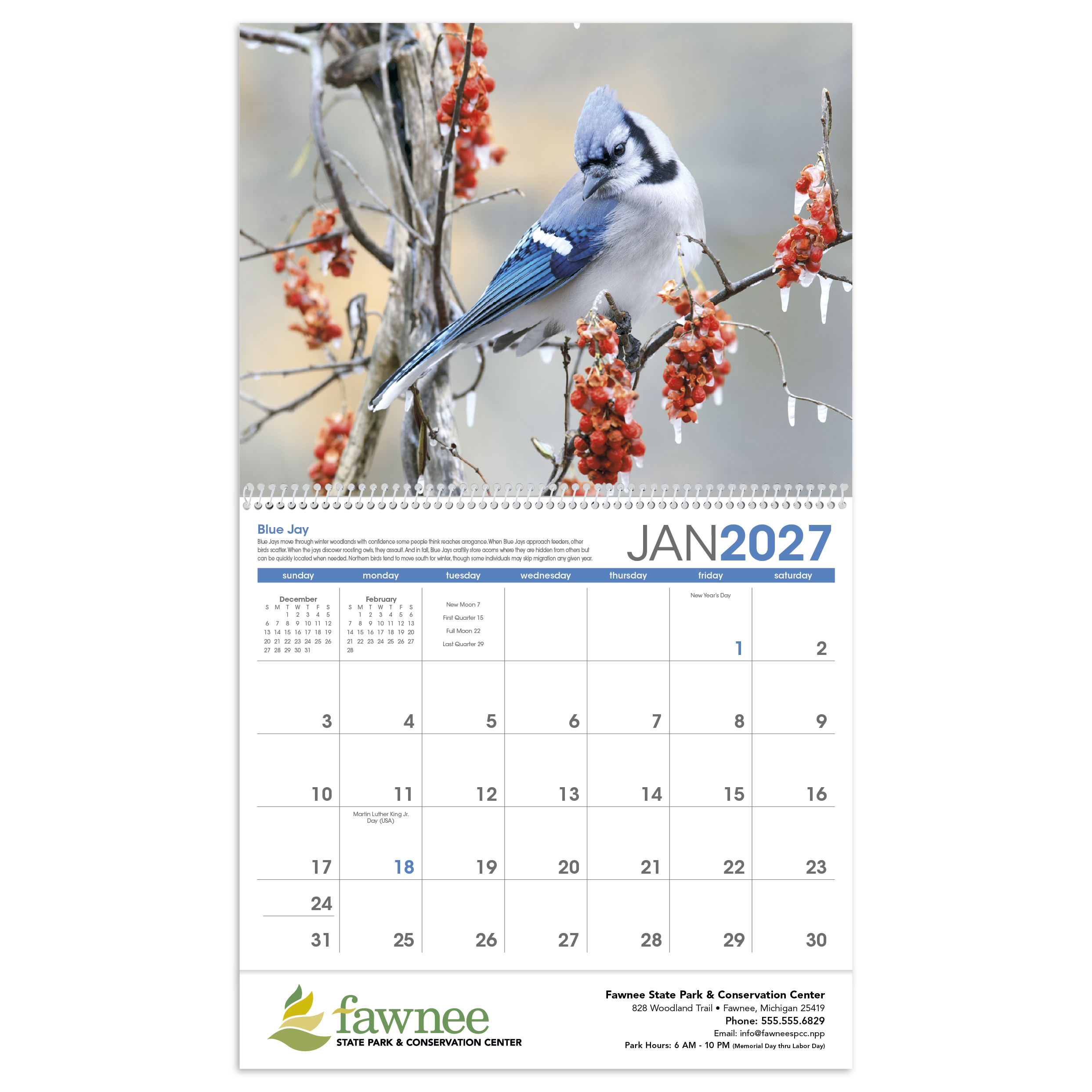 Birds Calendar featuring close-up photos of colorful North American birds with brief bird information.