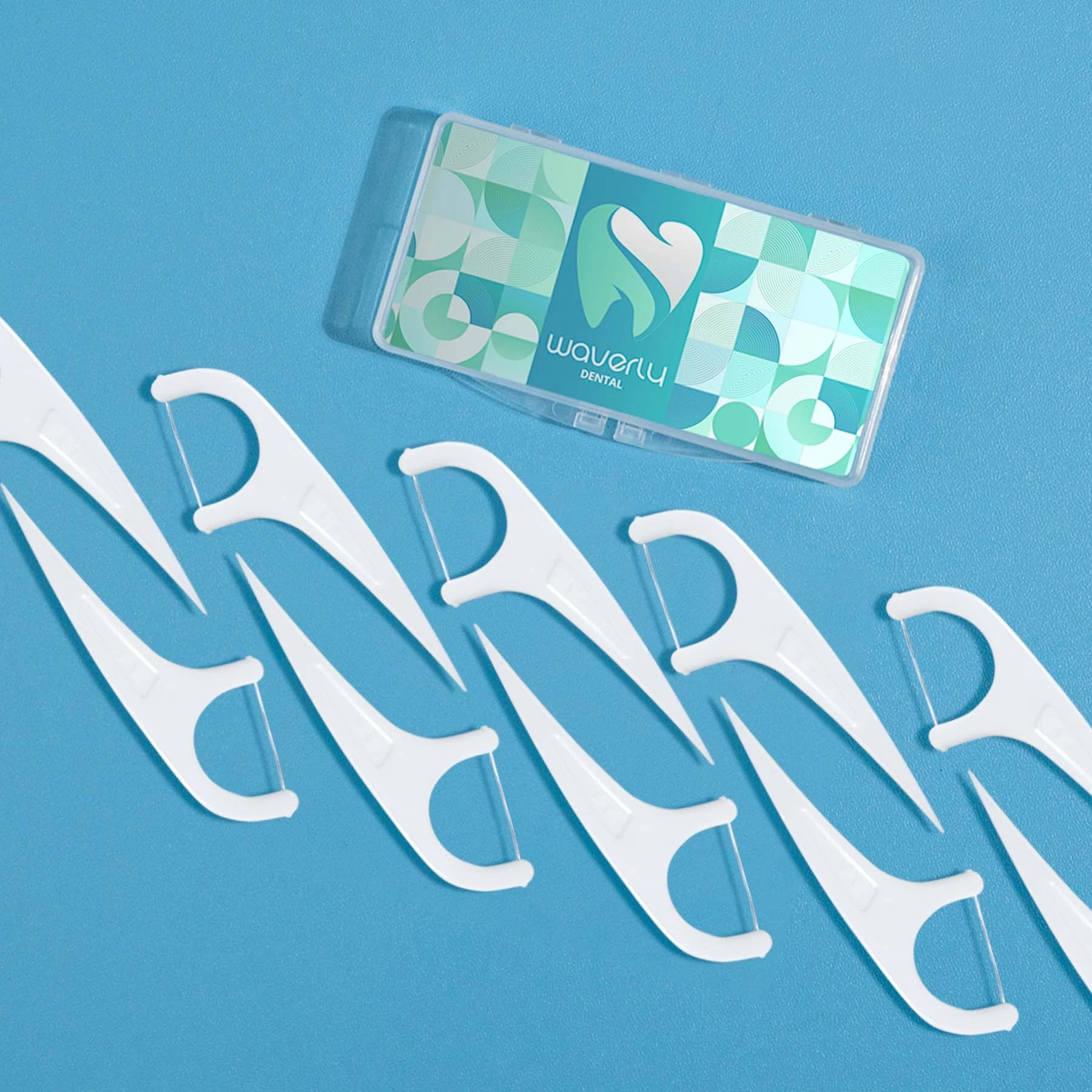 Dental Floss Pick 10-Pack with minty fresh easy-glide floss in a clear carrying case, designed for convenient on-the-go oral care.