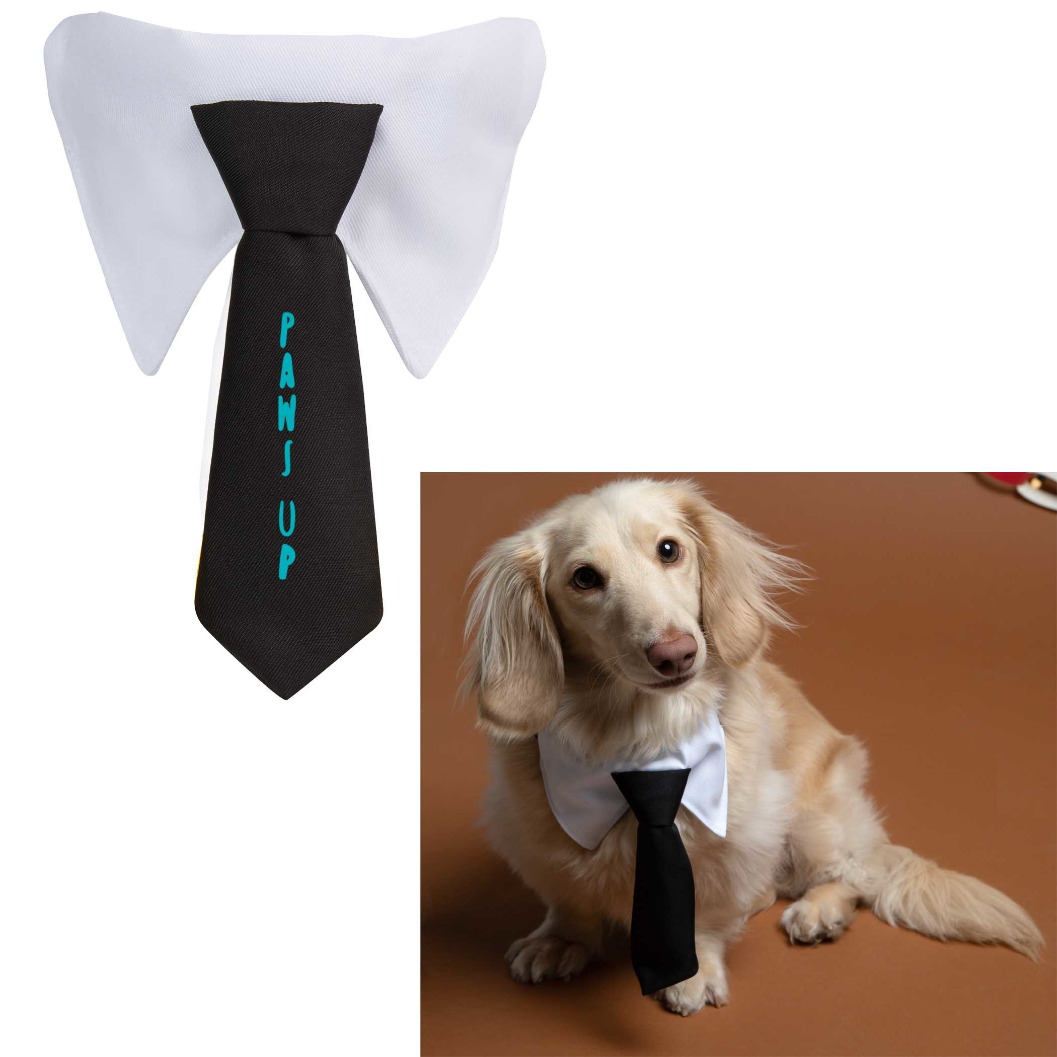 White/Black Paws & Claws Pet Neck Tie, a lightweight polyester neck tie collar accessory designed to slide onto standard pet collars up to 50 mm wide, adding a playful dressed-up look for dogs, cats, photos, and special events.