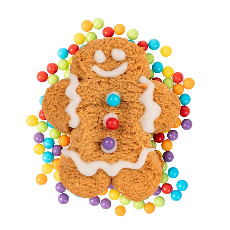 Gingerbread cookie decorating kit in a festive holiday house gift box with three gingerbread cookies, vanilla icing, and colorful candies for a fun seasonal activity.