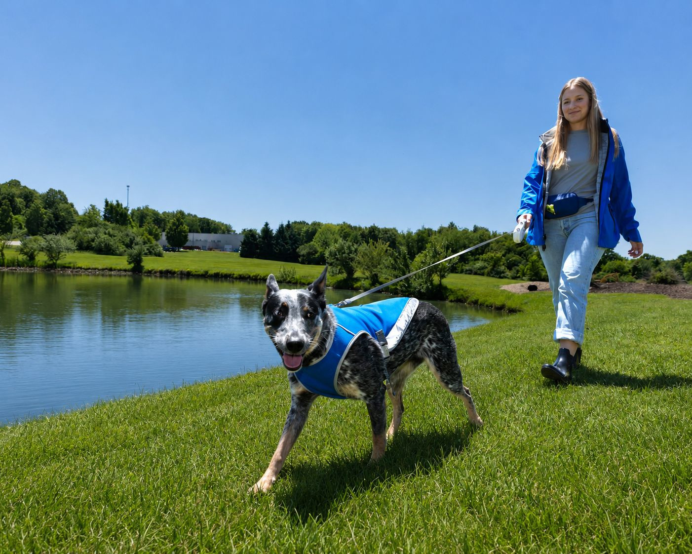 Blue reflective pet vest made from 100% polyester with reflective strips, lightweight construction, and an easy-access leash opening compatible with collars and harnesses.