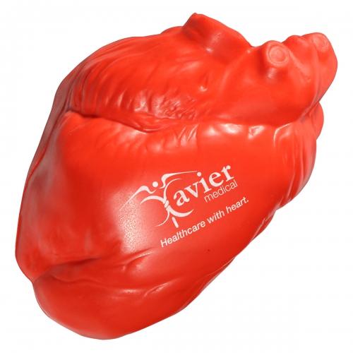 Anatomical Heart Stress Reliever Product Image