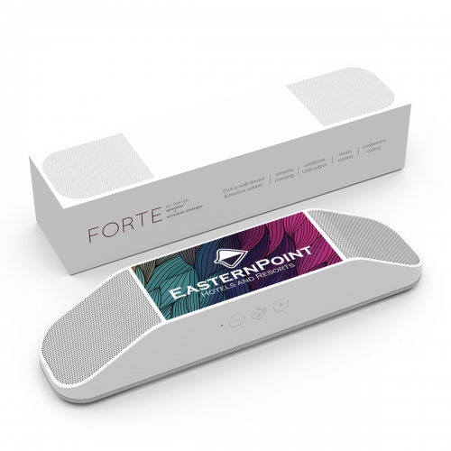 PowerStick Forte Speaker & Wireless Charger Product Image