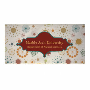 Single Sided 13 oz. Vinyl Banner - 3' x 6' Product Image