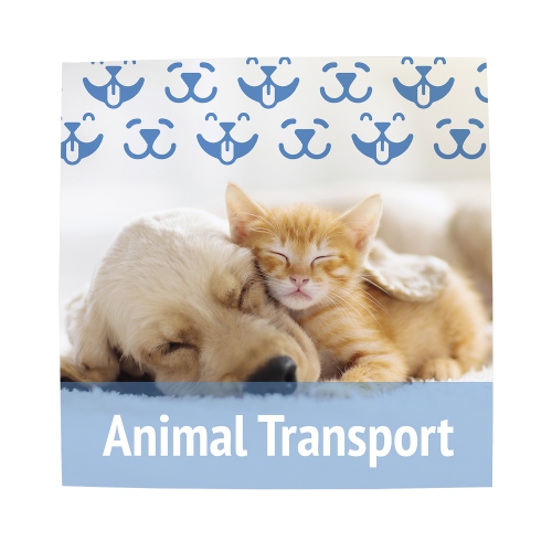 24" x 24" Magnet Promo Sign Product Image