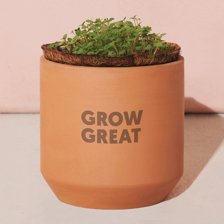 Modern Sprout® Tiny Terracotta Grow Kit Champagne Poppies Product Image