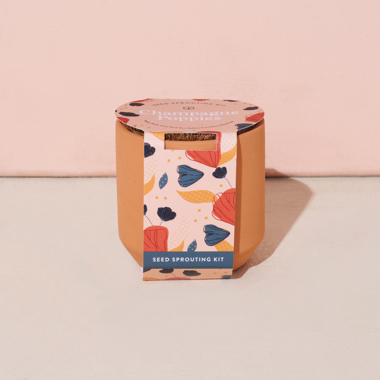 Modern Sprout® Tiny Terracotta Grow Kit Champagne Poppies Product Image