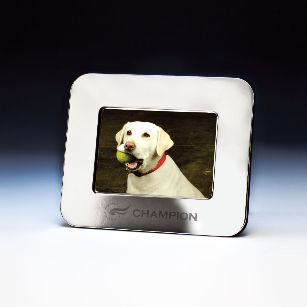 Rounded Silverplate Frame Product Image