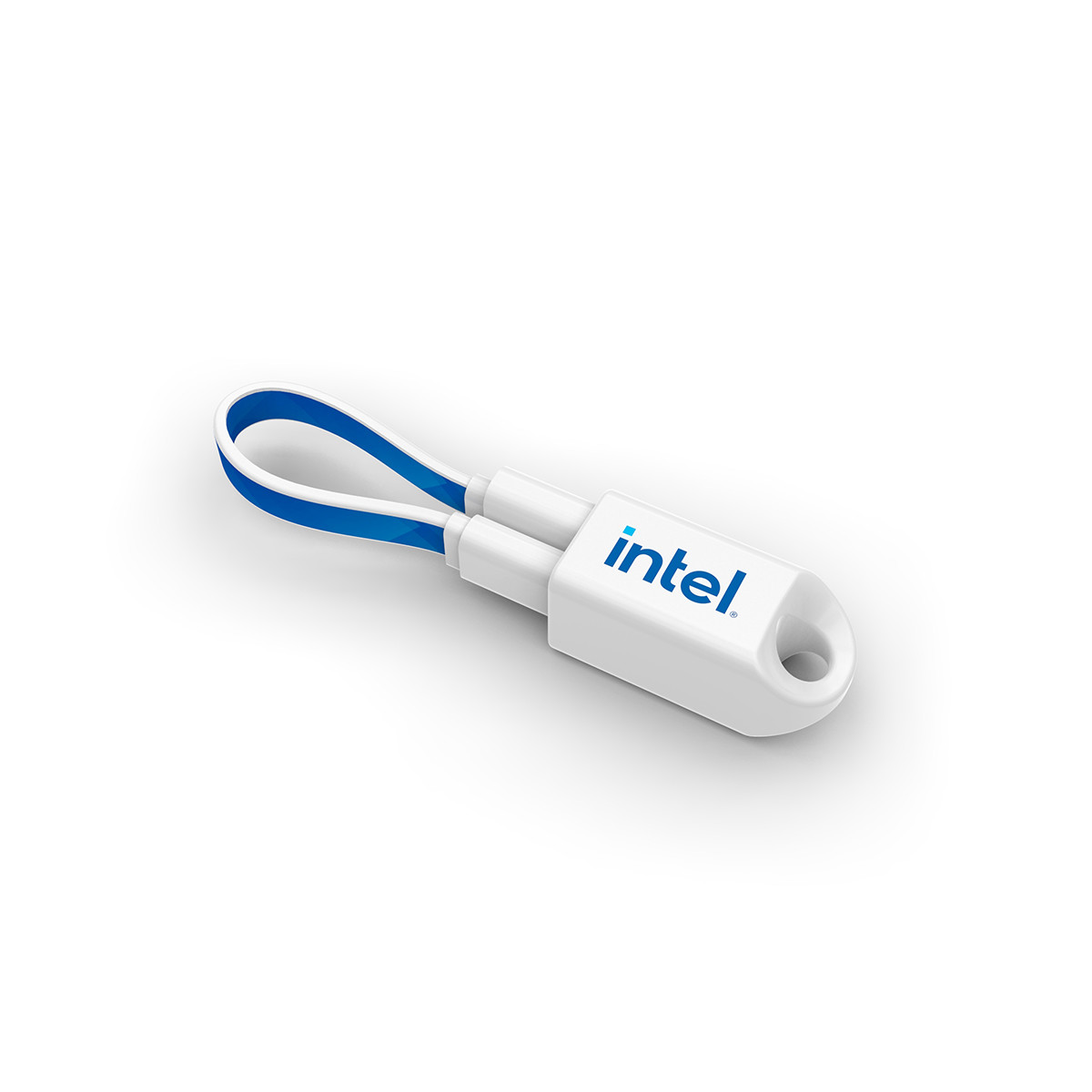 PowerStick Loop+ Type C Product Image