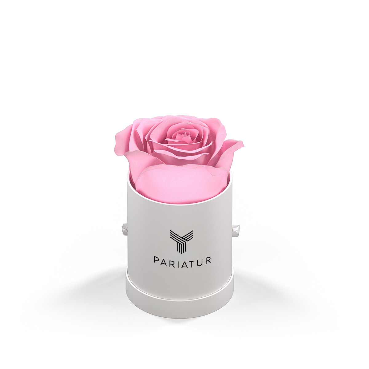 Classique by VeF Le Mini™ Round Eternity Rose Box Product Image