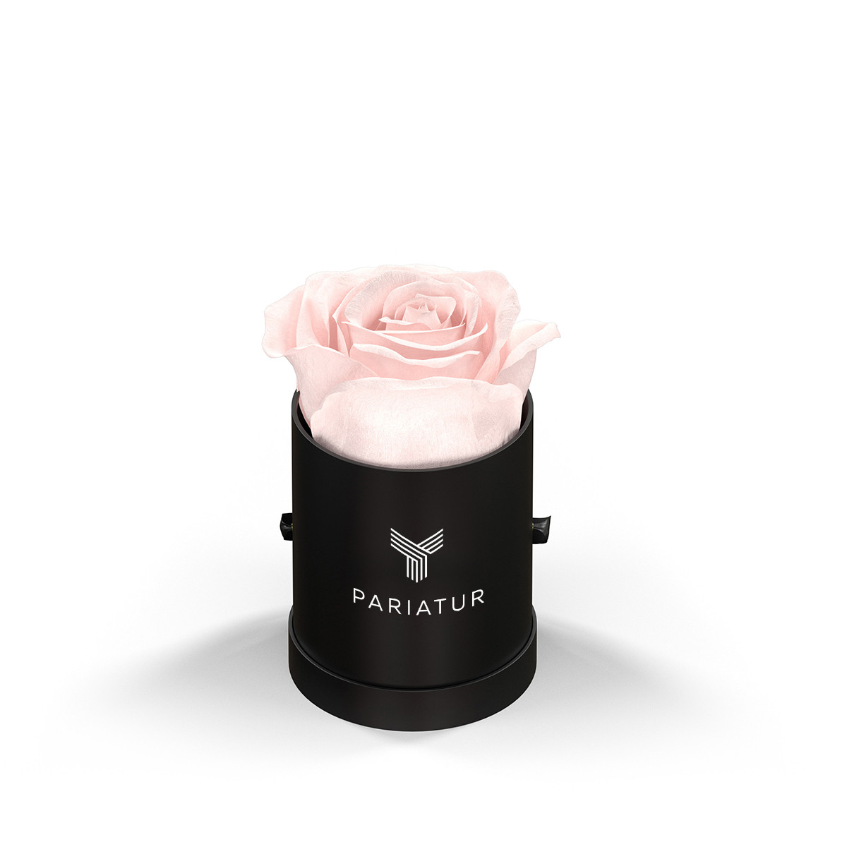 Classique by VeF Le Mini™ Round Eternity Rose Box Product Image
