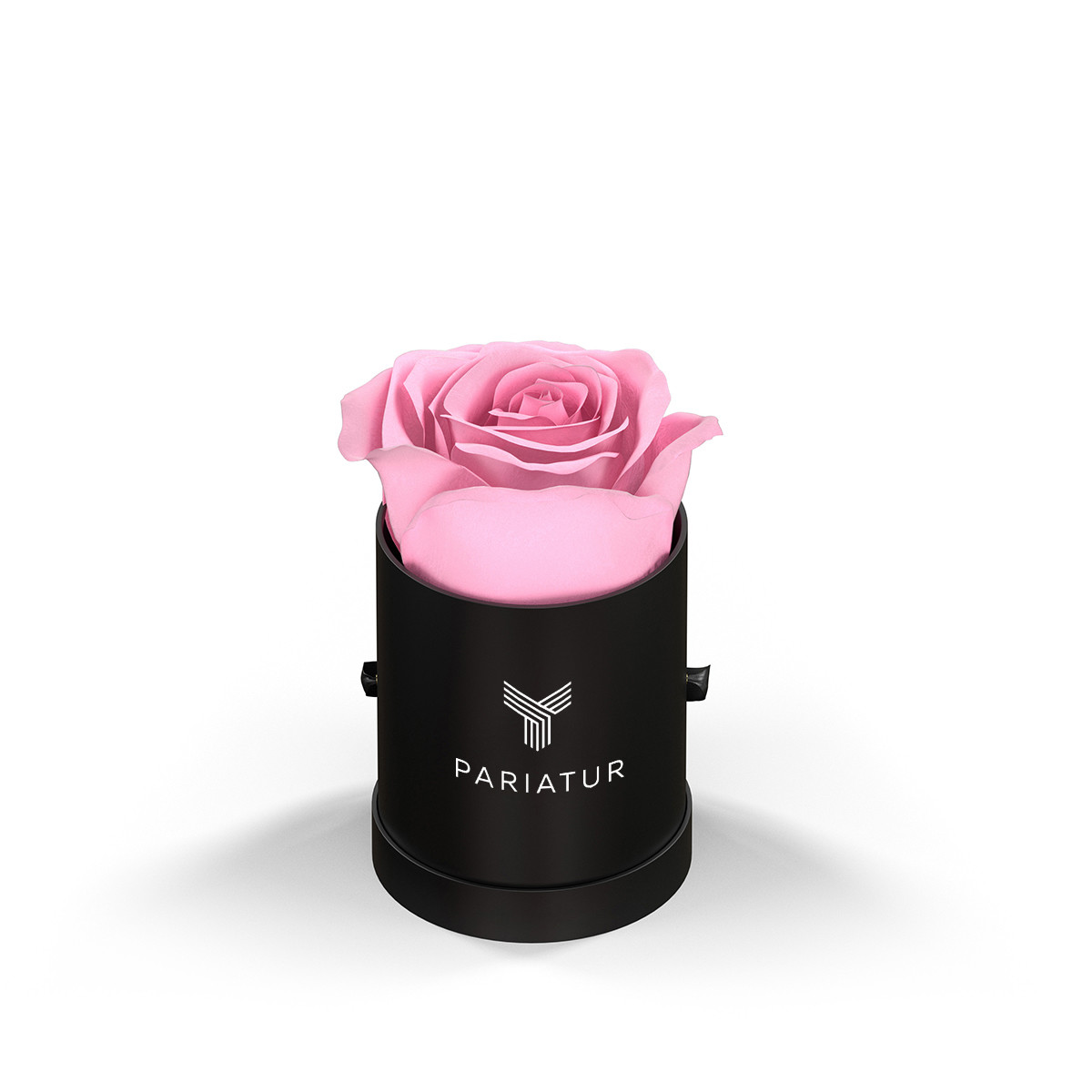 Classique by VeF Le Mini™ Round Eternity Rose Box Product Image