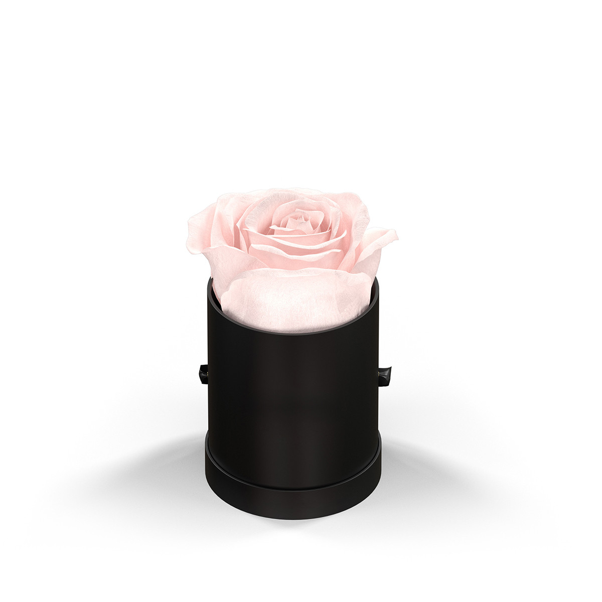 Classique by VeF Le Mini™ Round Eternity Rose Box Product Image