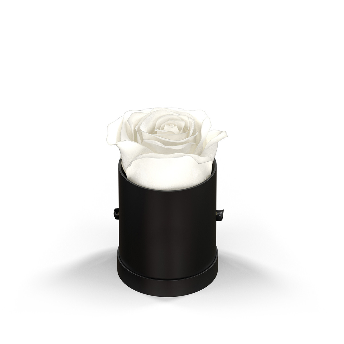 Classique by VeF Le Mini™ Round Eternity Rose Box Product Image