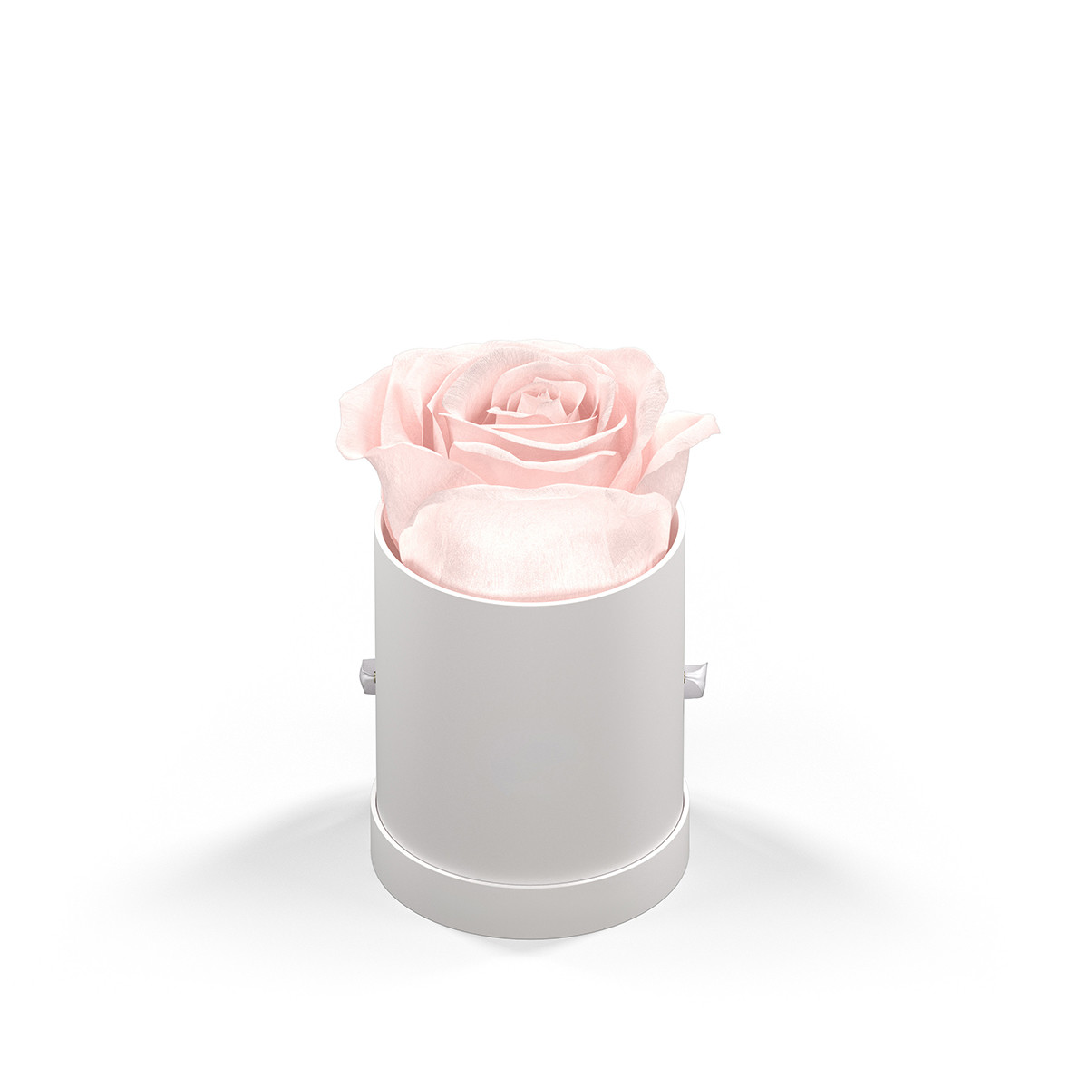 Classique by VeF Le Mini™ Round Eternity Rose Box Product Image