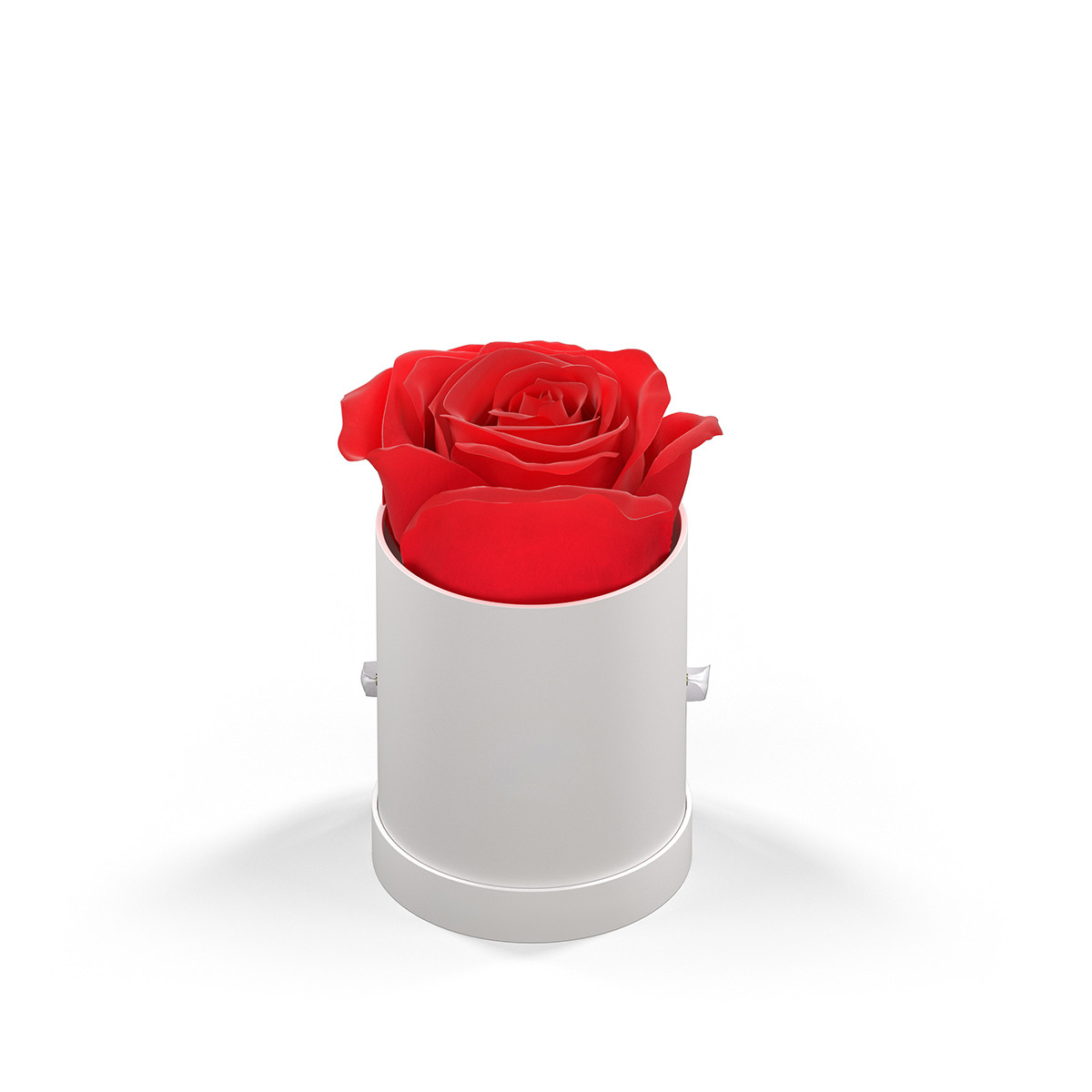 Classique by VeF Le Mini™ Round Eternity Rose Box Product Image