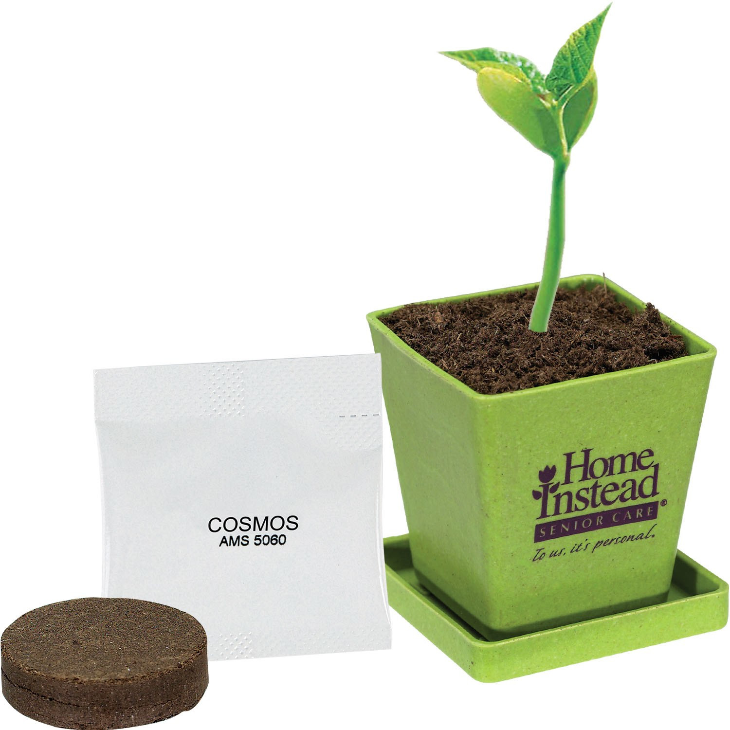 Mini Bamboo Planter Product Image