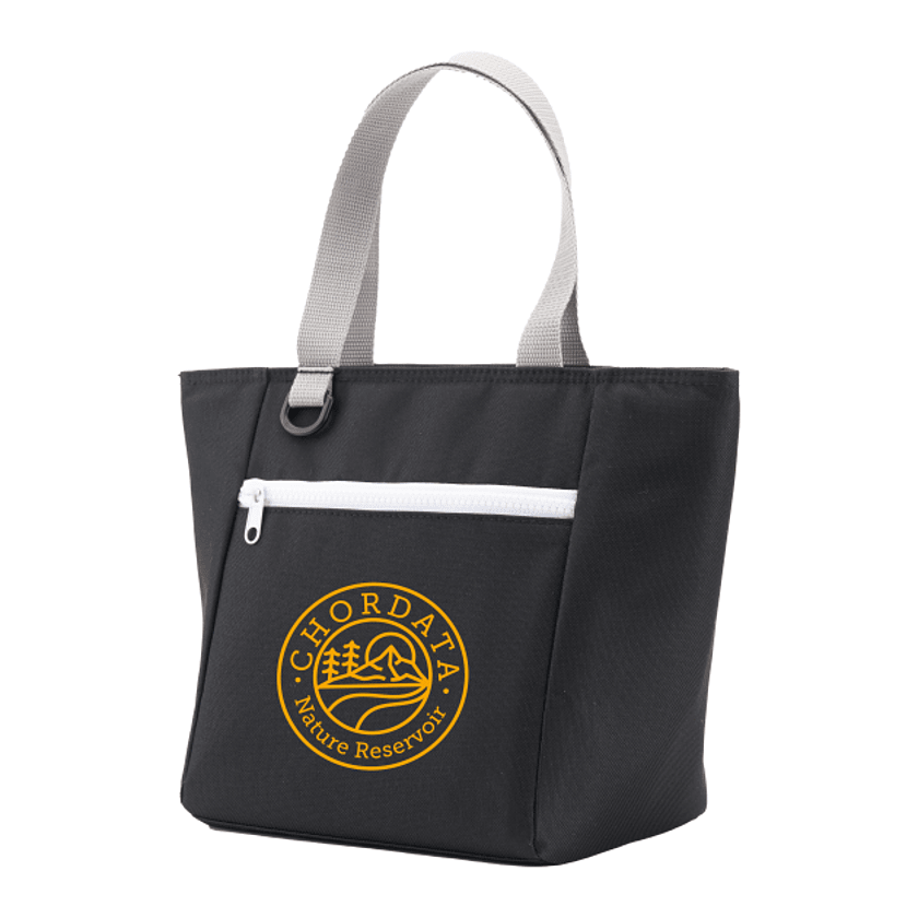 Focus RPET 6 Can Lunch Cooler Product Image